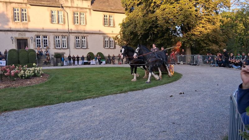 Schloss Wendlinghausen Abendshow